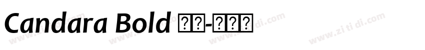 Candara Bold 粗体字体转换
